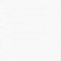 Заготовки для открыток двойные Датч Айвори Борд, гладкие, цвет белый, 246, 100х200, уп. 10шт
