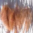 Листья  скелетированные, 7 - 9 см.,  каучуковое дерево, цвет КОРИЧНЕВЫЙ, 100 +/-5  шт.