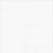 Заготовки для открыток двойные Датч Айвори Борд, гладкие, цвет белый, 246, 100х200, уп. 10шт